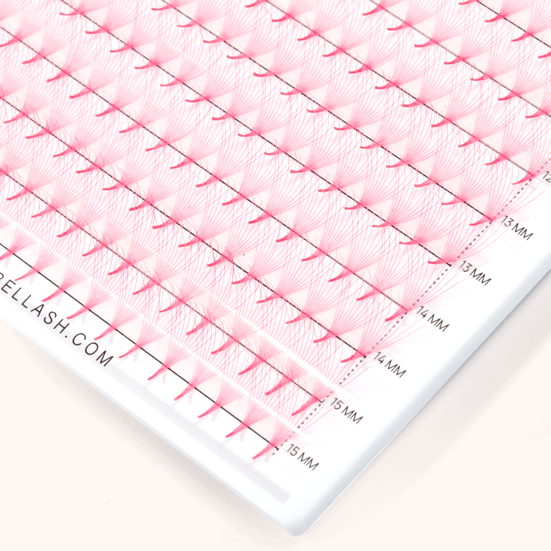 10D Pink Premade Volume Fans Pointy Base16 Rows(320 Fans)