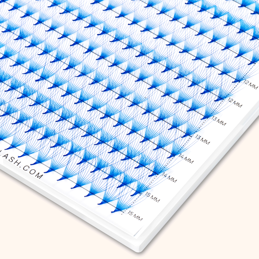 10D Blue Premade Volume Fans Pointy Base16 Rows(320 Fans)