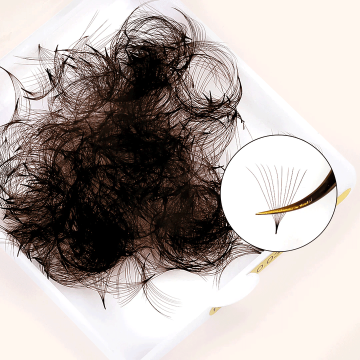 10D Colored Dark Brown Premade Volume Loose Fans(500 Fans)