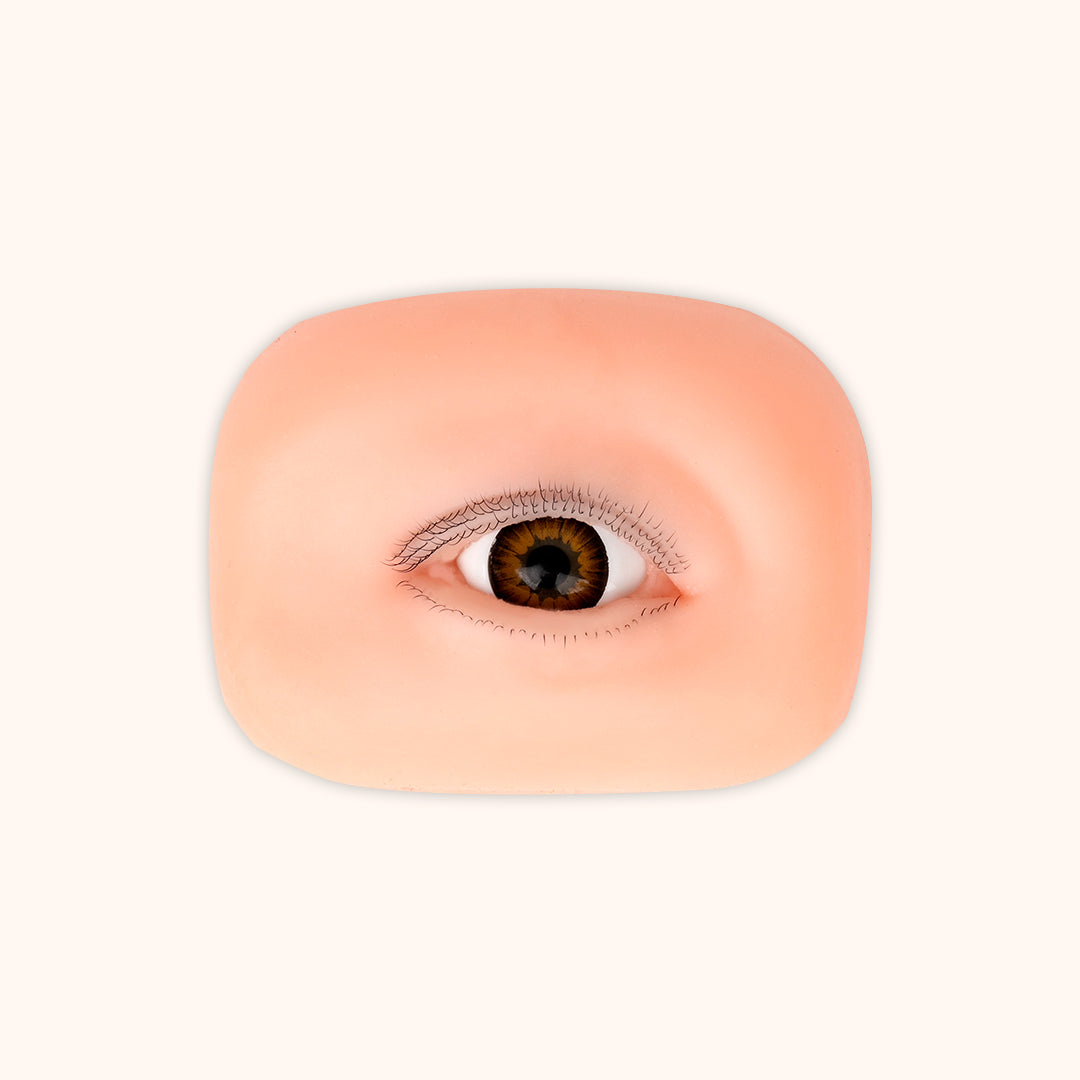 Reusable silicone eye model for lash extension practice. Features 3 layers of lashes, sold as a pair, ideal for training and showing finished lash styles.