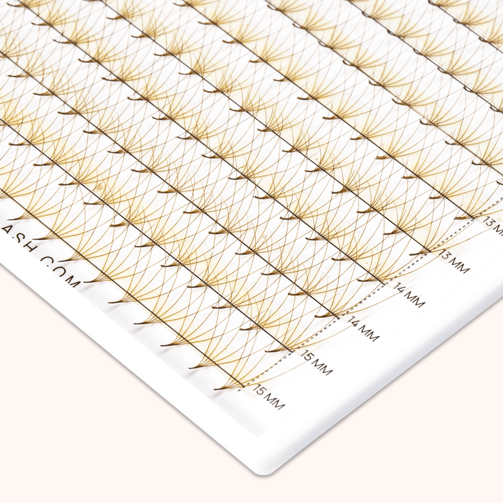 5D Brown Premade Volume Fans Pointy Base16 Rows(320 Fans)