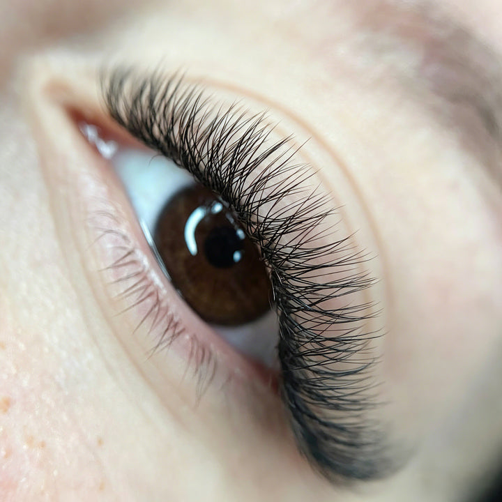 KOLYBEL YY Premade Volume Fans UYY Premade Volume Fans W SHAPED Premade Volume Fans U -SHAPED W Premade Volume Fans YY LASHES UY LASHES W LASHES UW LASHES