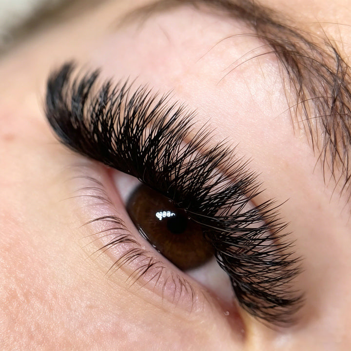 KOLYBEL YY Premade Volume Fans UYY Premade Volume Fans W SHAPED Premade Volume Fans U -SHAPED W Premade Volume Fans YY LASHES UY LASHES W LASHES UW LASHES