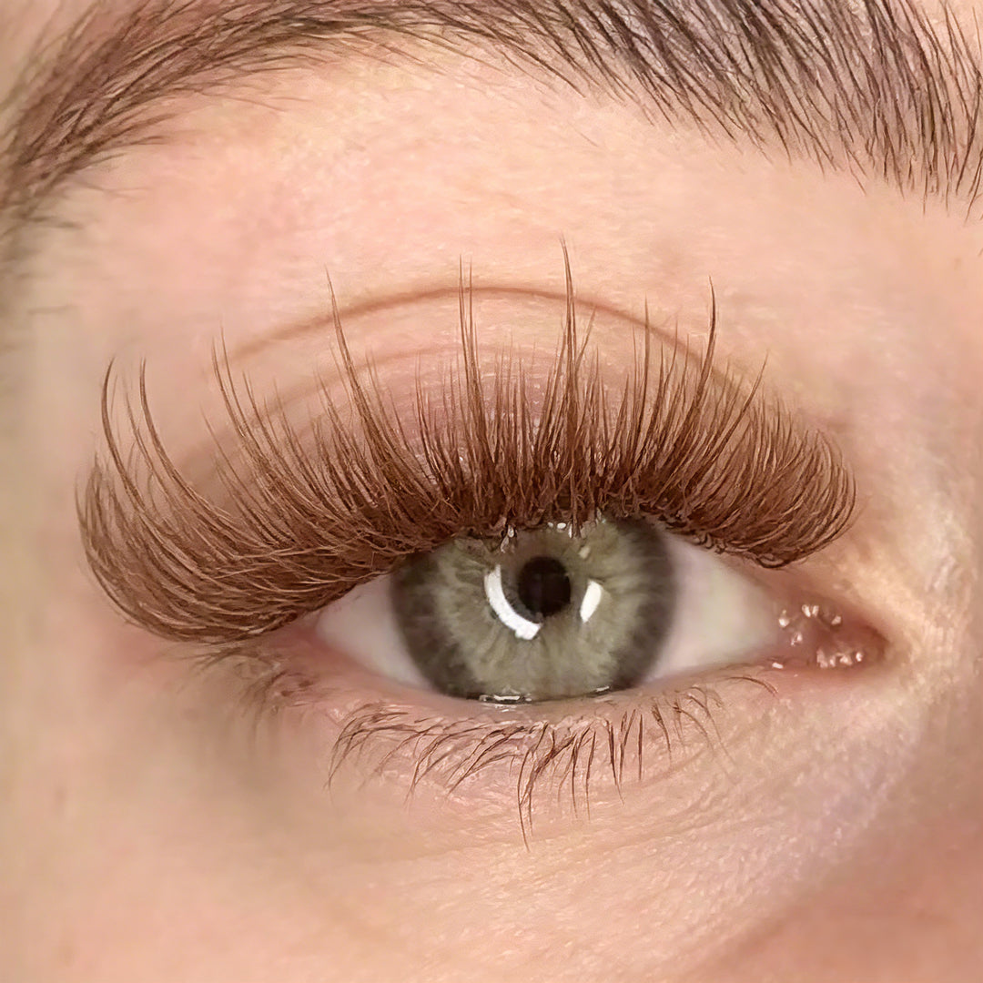 KOLYBEL LASH Brown Premium Lashes Colored Volume Eyelash Extensions