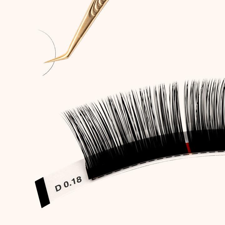 KOLYBEL LASH Premium Lash Extensions 0.18mm(16Rows)